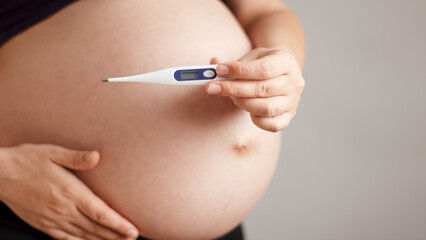 Pregnant woman measures temperature, holding electronic thermometer in hands near belly on isolated on gray background, studio shot, pregnancy health control concept