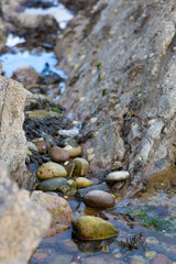 stones in the water