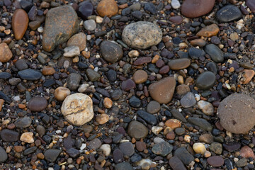 pebbles on the beach