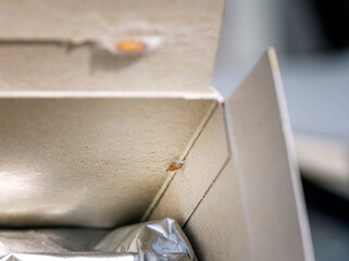 Lebensmittelmotten kleben an der Innenseite einer Lebensmittelverpackung in einem Motten Kokon