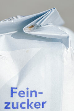 Eine Lebensmittelmotte klebt an der Innenseite des Falzes einer Lebensmittelverpackung in einem Motten Kokon