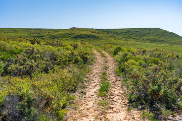 Walking trail through the Lesueur National Park, WA, Australia