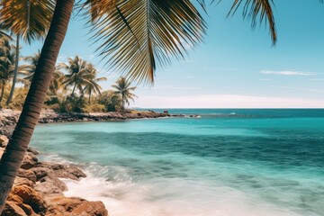 palm trees and turquoise sea on the coast