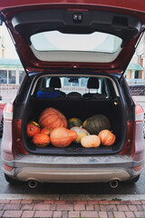 Red car with different pumpkins in the trunk. Parked farmers  SUV on Halloween holiday. Vertical photo.