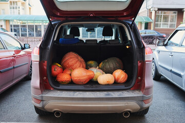 Red car with different pumpkins in the trunk. Parked farmers  SUV on Halloween holiday. Horizontal photo.