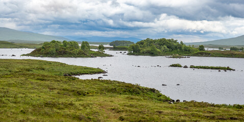 Boggy land of Rannoch moor, Scotland