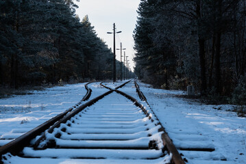 Tory kolejowe w lesie zimą