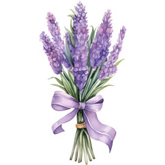 Lavenders watercolor clipart
