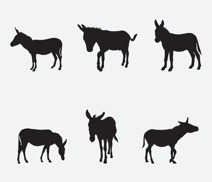 A set of detailed high quality donkey farm animal silhouettes
