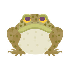ヒキガエル。フラットなベクターイラスト。
Toad. Flat designed vector illustration.