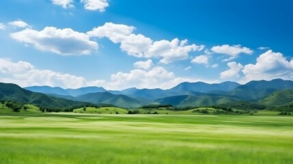 Obraz premium Natural landscape of summer field and high mountain 