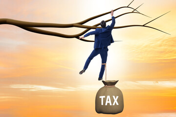 Businessman hanging on tree branch