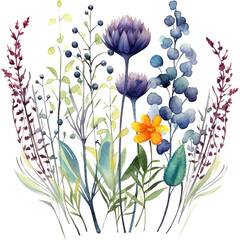 wildflower bunches clipart