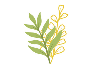 Botanical Line Art Abstract Leaves Illustration
