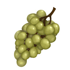 美味しそうなシャインマスカットのイラスト