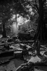 Naklejka premium Siem Reap - Angkor Wat