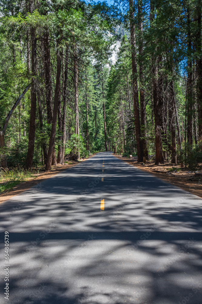 Wall mural mirror lake trail in yosemite national park, yosemite valley, california, usa. yosemite national par