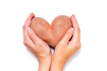 Heart-Shaped Potato in Cupped Hands