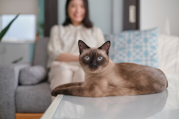 猫と飼い主のポートレート