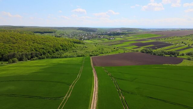 Aerial landscape of green farmland in summer season with growing crops. Agricultural cultivated field. Farming and agriculture industry