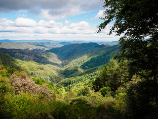 Naklejka premium 4000 steps hike from Vallerauge to the mount Aigoual in the Cevennes national park, France