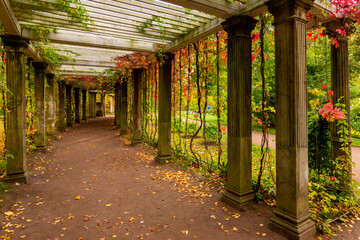 Pergola in private garden of Catherine park in autumn, Tsarskoe Selo (Pushkin), Saint Petersburg,...