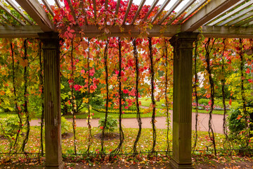 Pergola in private garden of Catherine park in autumn, Tsarskoe Selo (Pushkin), Saint Petersburg,...