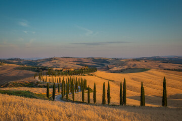 Tuscany Cyprese Road