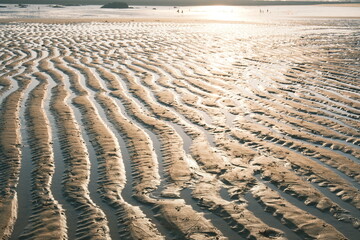 sand dunes in the morning