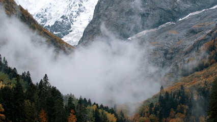 Fog quickly descends into the gorge. Creative. Beautiful mountain scenery in clouds, timelapse effect.