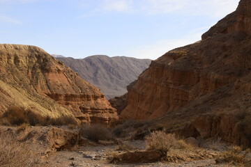 Scenery. Canyons on a sunny day. Kyrgyzstan
