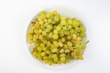 White grapes isolated on white background