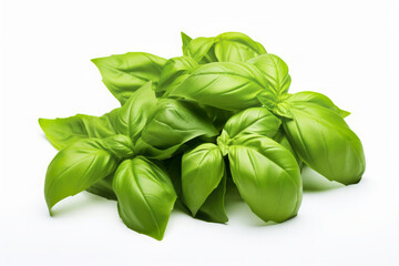Fresh Green Basil Leaves, Aromatic Basil Herb, Healthy Italian Basilicum on White Background - obrazy, fototapety, plakaty