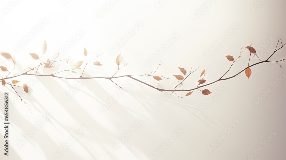Poster blurry shadow of leaves on white background with copy space