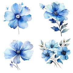 Blue flowers and leaves hand drawn illustration,watercolor painting, abstract background