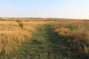 Fototapeta na wymiar A grassy field with a few trees