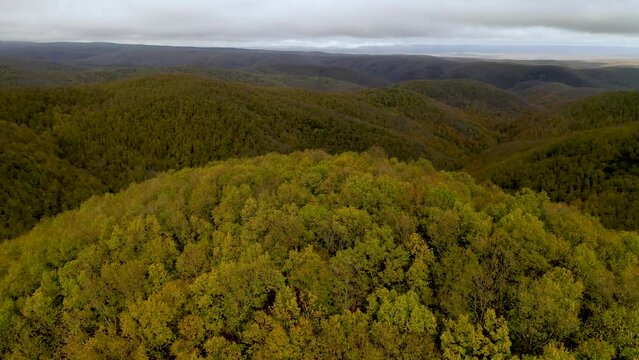 Aerial view of forest full of dense trees with yellowing leaves in autumn season. Forests on top of the mountains. Igneada, Kirklareli, Turkey
