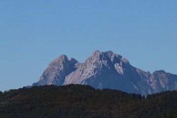 Dos cumbres rocosas aparecen detrás de un bosque