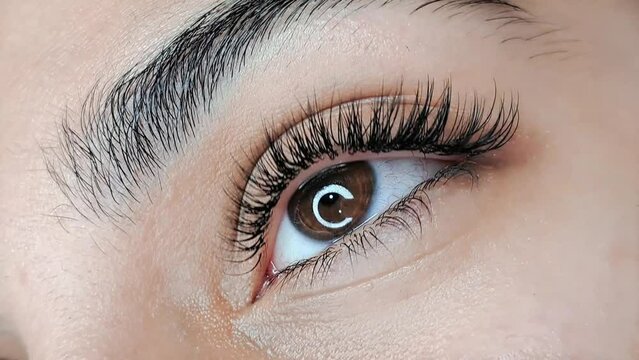 Close up of eye with eyelash Extensions in beauty salon macro view 
