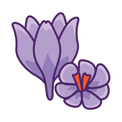 Crocus flower icon design. Floral icon
