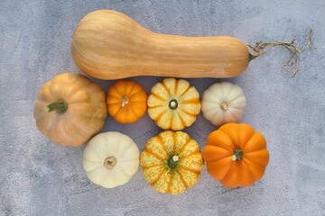 Pumpkins and squashes on grey background. Autumn pumpkins varieties in the kitchen.