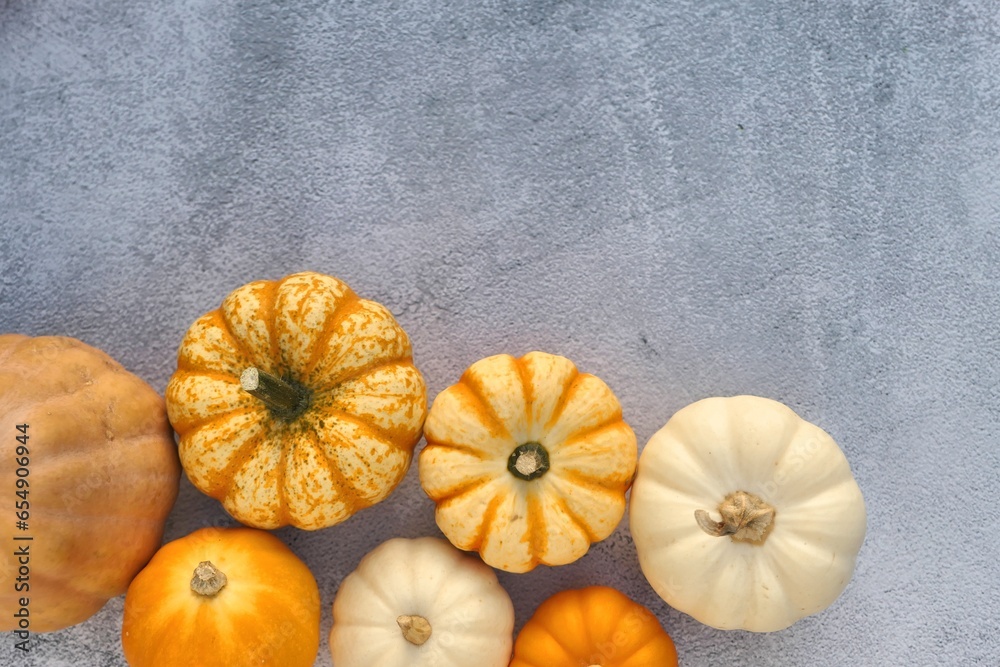 Poster pumpkins and squashes on grey background. copy space for text.