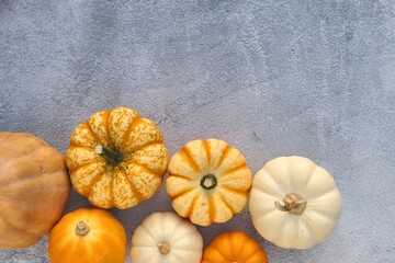 Pumpkins and squashes on grey background. Copy space for text.