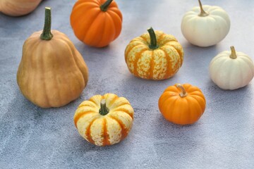 Pumpkin and squash gourds collection