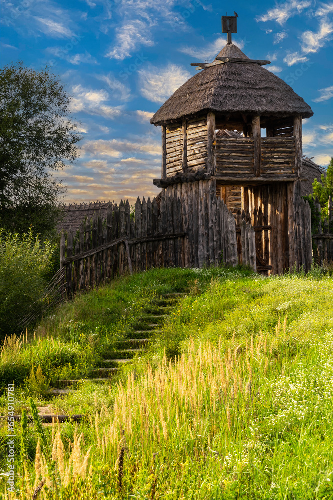 Wall mural Wooden gate and fort. Summer countryside	