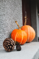 Conjunto de calabazas en la festividad de halloween