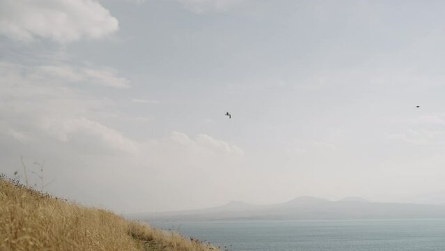 Slow motion of birds flying over lake am mountains in autumn