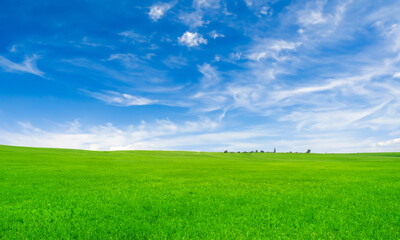 広い草原と青空