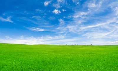 Fotobehang 広い草原と青空 © YY apartment