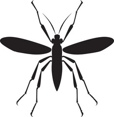 Insects Beauty in Black Vector Stick Insect Glyph
